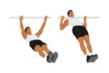 Australian pull up: Guida e benefici per la salute della schiena